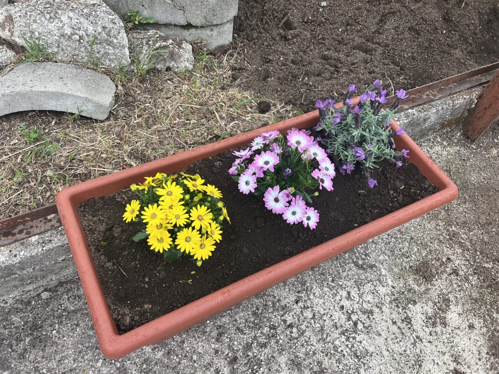 ortogiardino