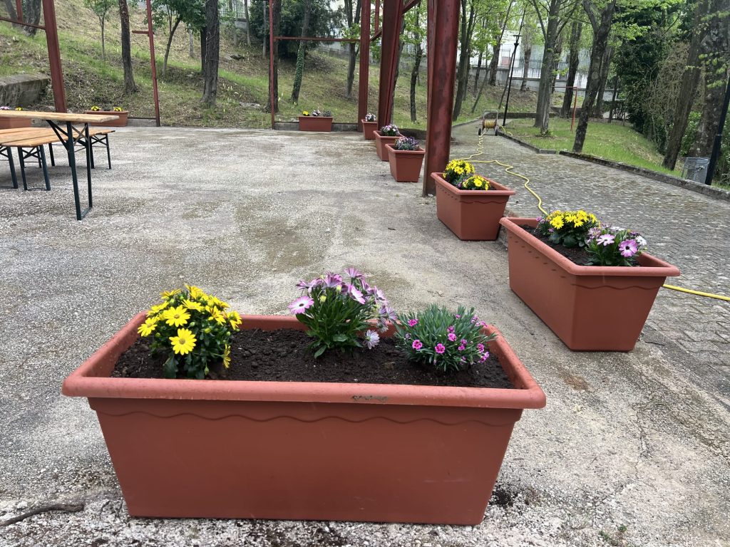 ortogiardino